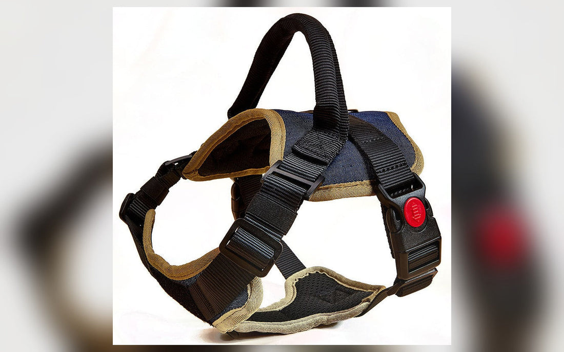 Padded dog harness vest with handle