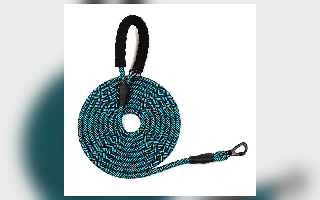 Long braided dog leash coiled