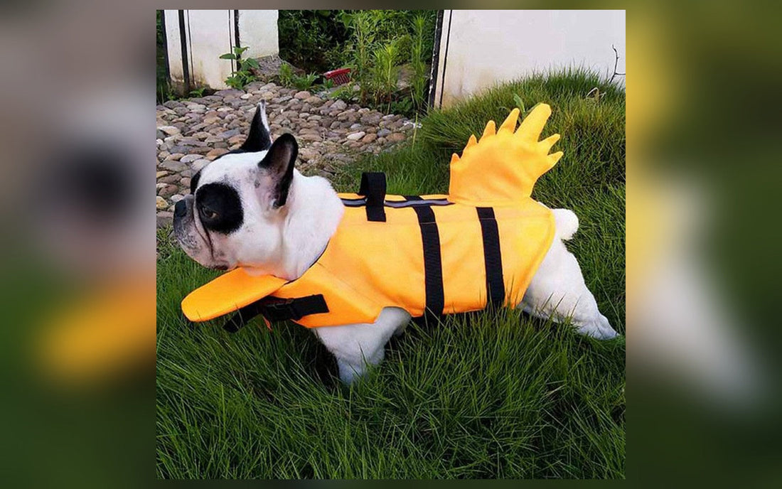 Dog swim vest in orange and yellow
