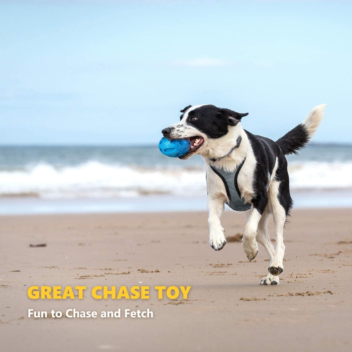 Rubber Rugby Chew Toy for Dogs