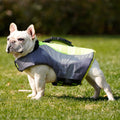 Reflective Dog Swimsuit Vest in Orange and Green