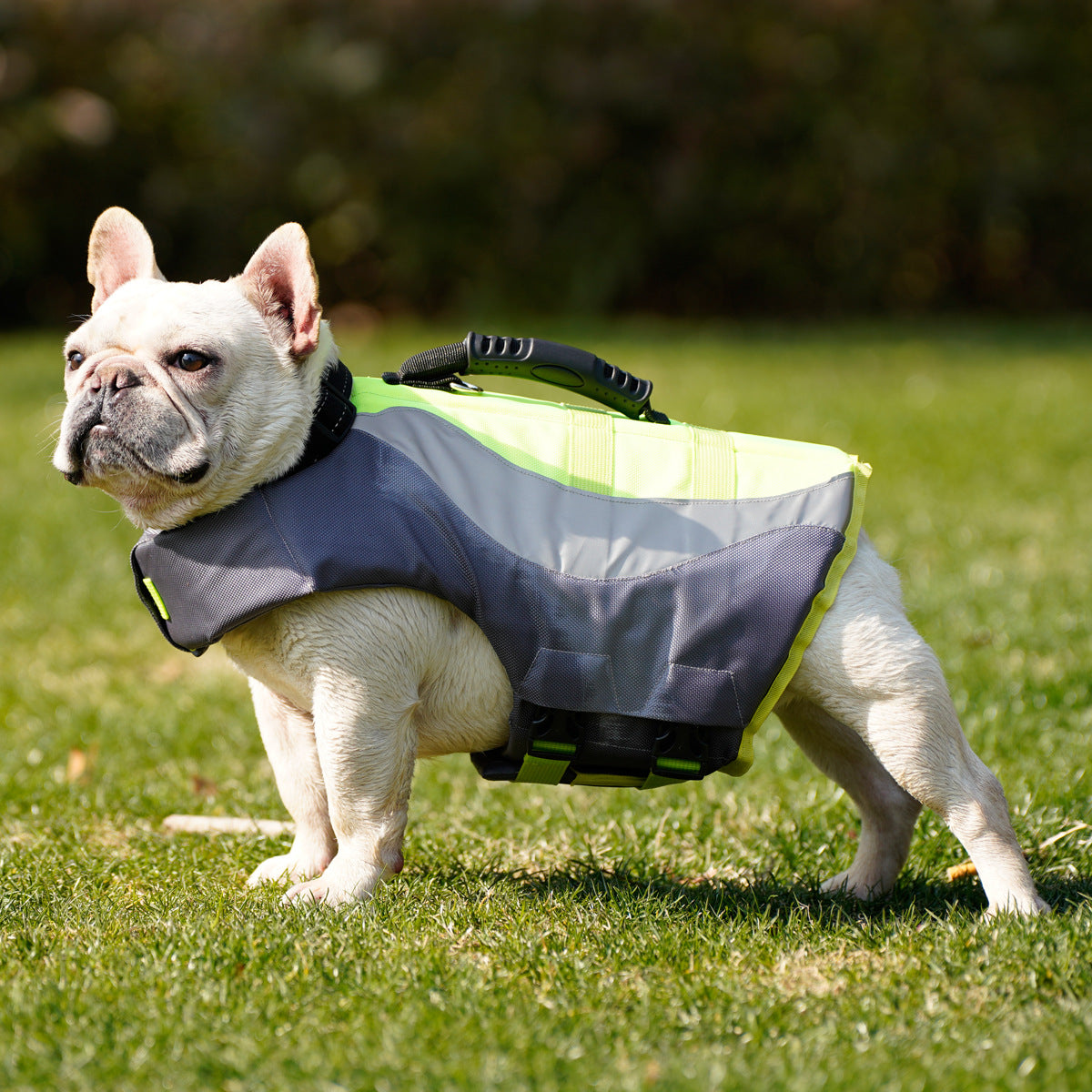 Reflective Dog Swimsuit Vest in Orange and Green