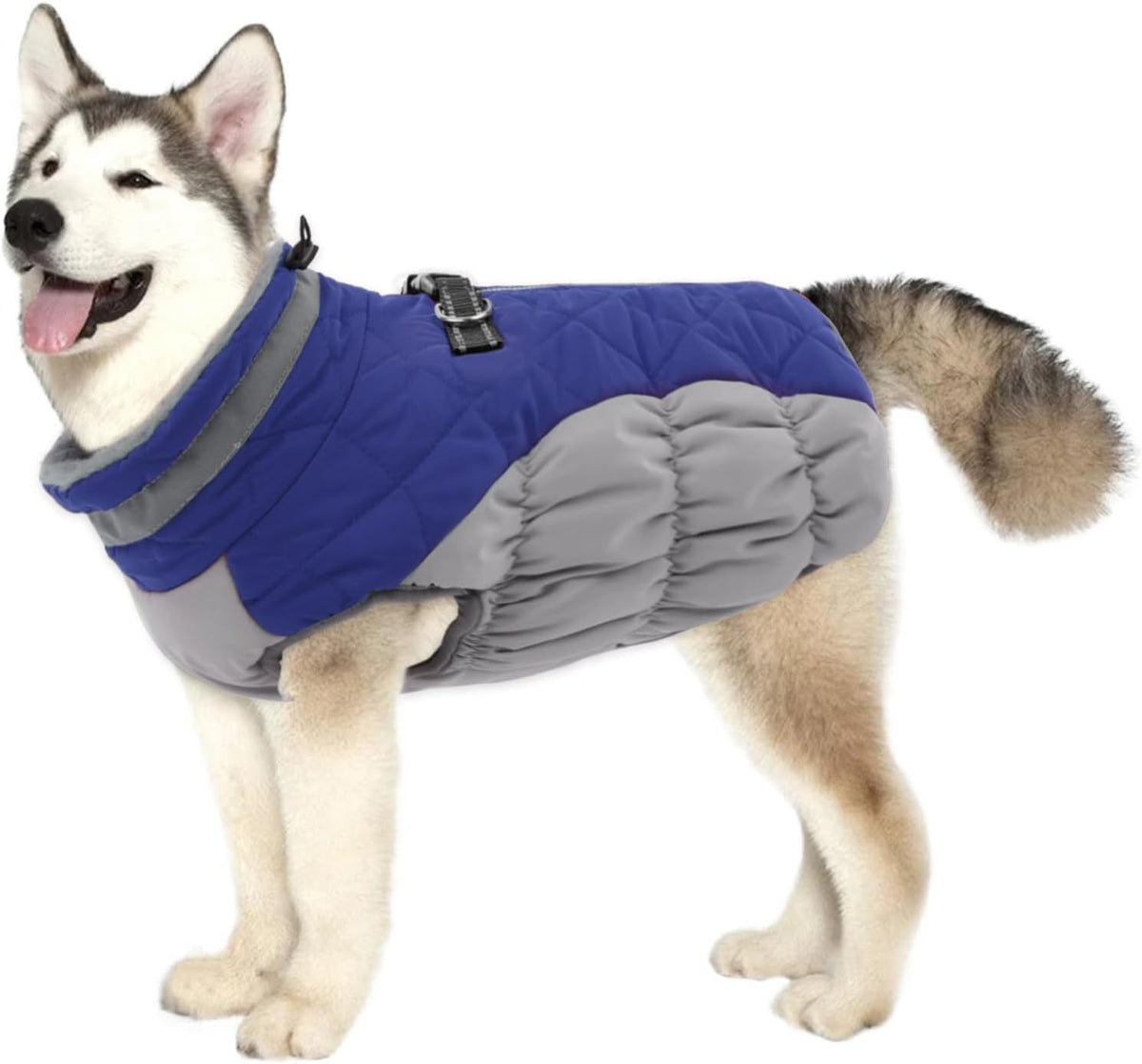 Windproof Padded Winter Dog Coat in 9 Colors