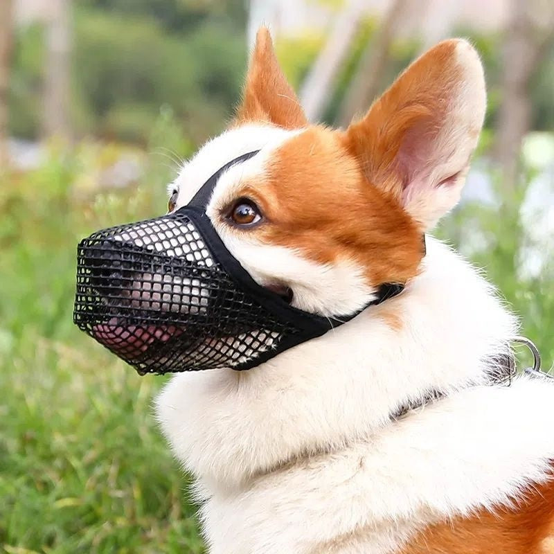 Breathable Mesh Dog Muzzle in Black and Green