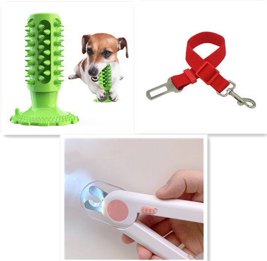 Toothbrush Stick for Dogs
