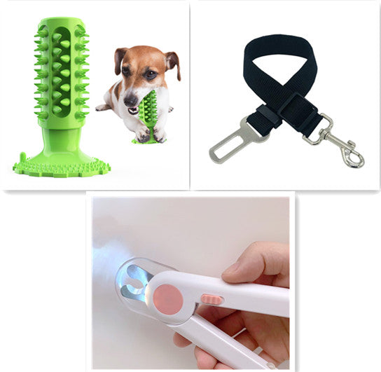 Toothbrush Stick for Dogs