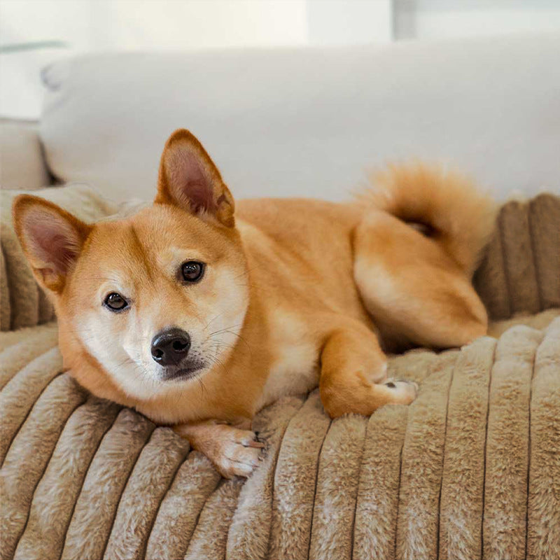Soft Cushioned Dog Bed in Multiple Colors