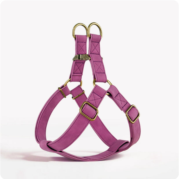 Dog Vest-Style Harness for Small & Medium Dogs
