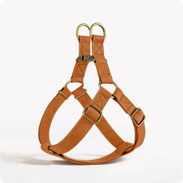 Dog Vest-Style Harness for Small & Medium Dogs
