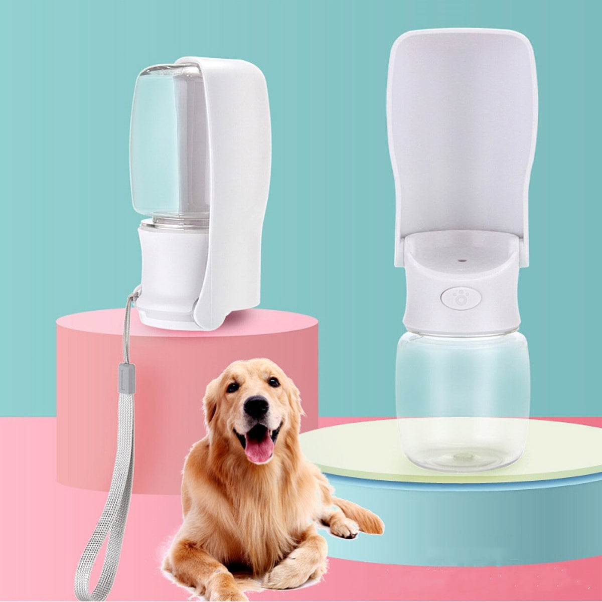 Portable Foldable Water Bottle for Dogs in Blue, White, Pink