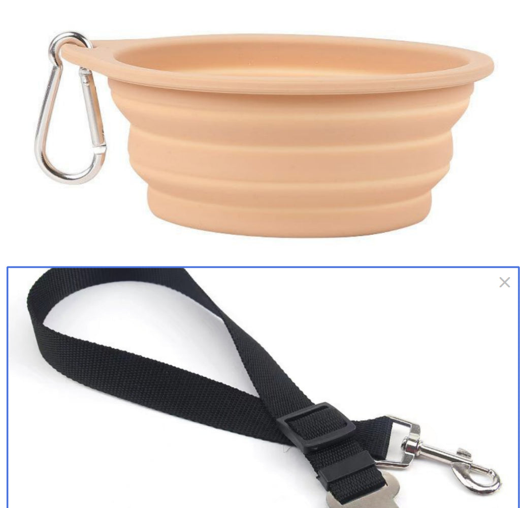 Portable Folding Dog Bowl for Travel and Outdoor
