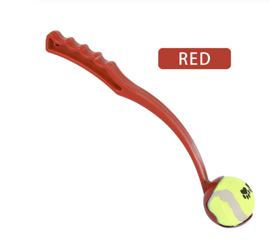 Dog Throwing Ball in Green, Blue, and Red