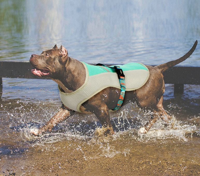 Lightweight Summer Vest for Dogs