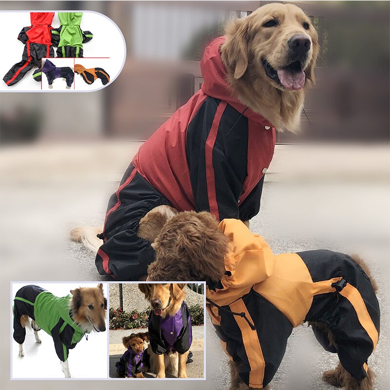 Dog Raincoat with Reflective Trim in Bright Colors