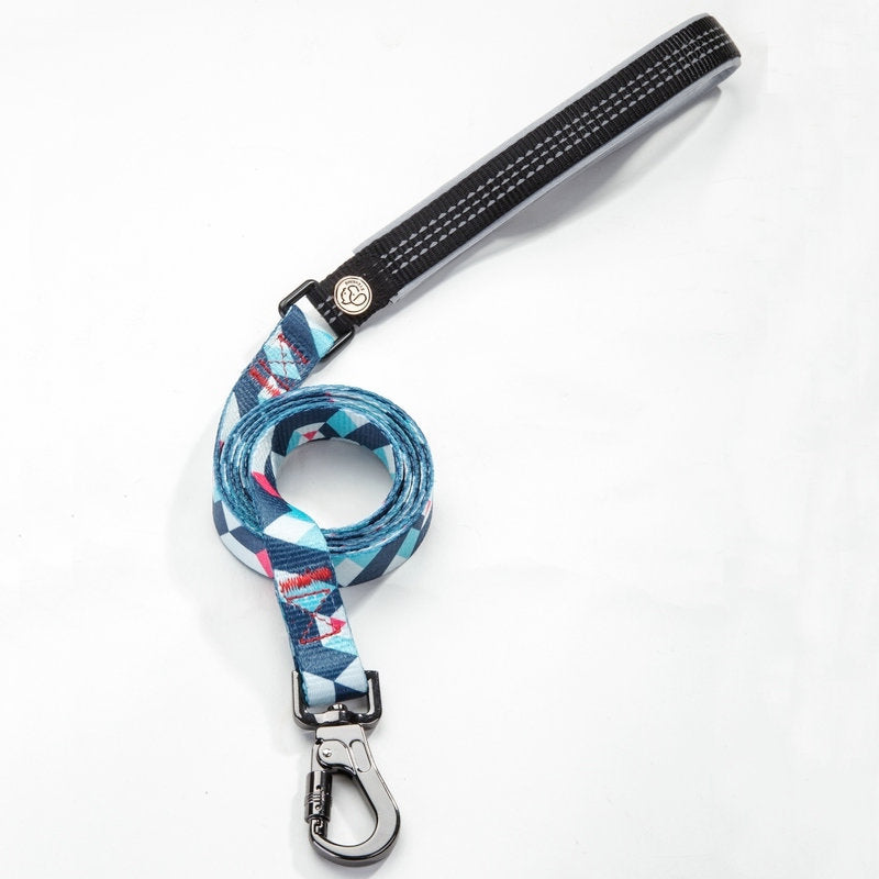 Dog Leash for All Sizes