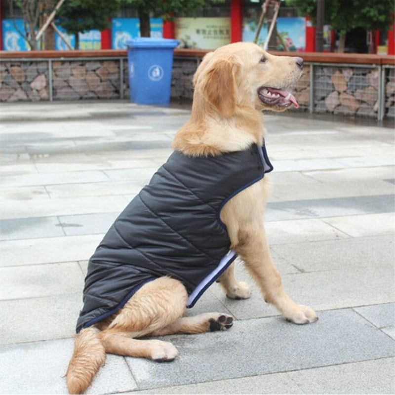 Winter Cotton Coat for Dogs in Pink, Red, and Blue