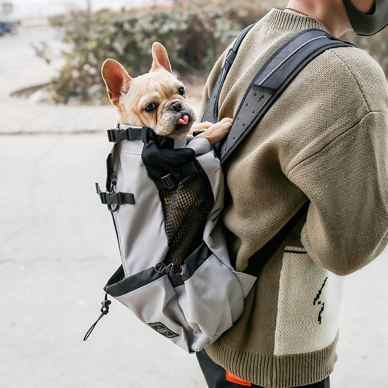 Portable Dog Backpack Carrier in Multiple Colors