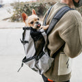 Portable Dog Backpack Carrier in Multiple Colors