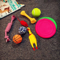 Squeaky Plush Dog Toy Set - Set 1