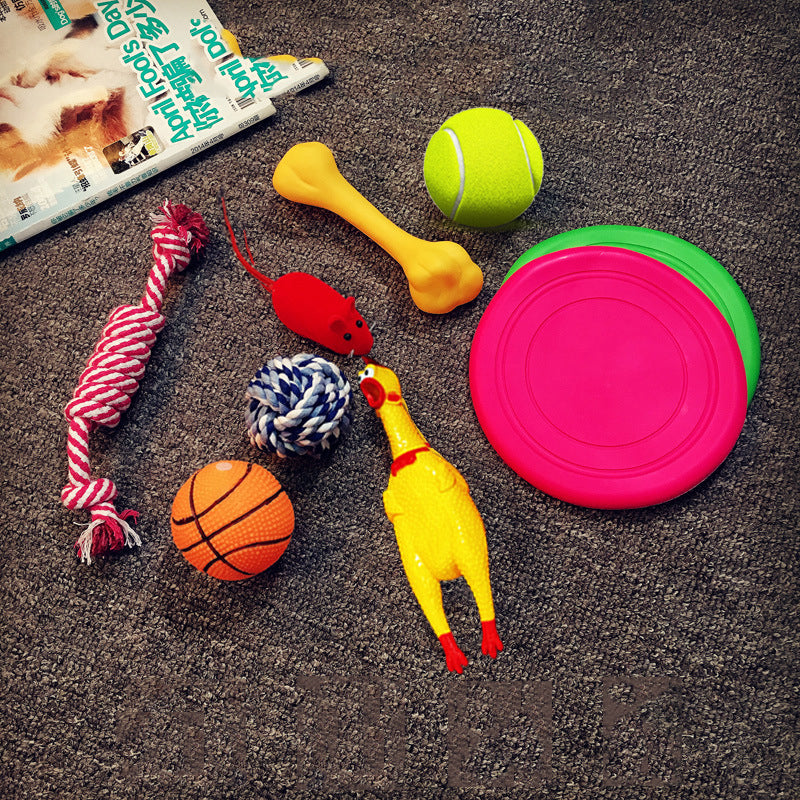 Squeaky Plush Dog Toy Set - Set 1