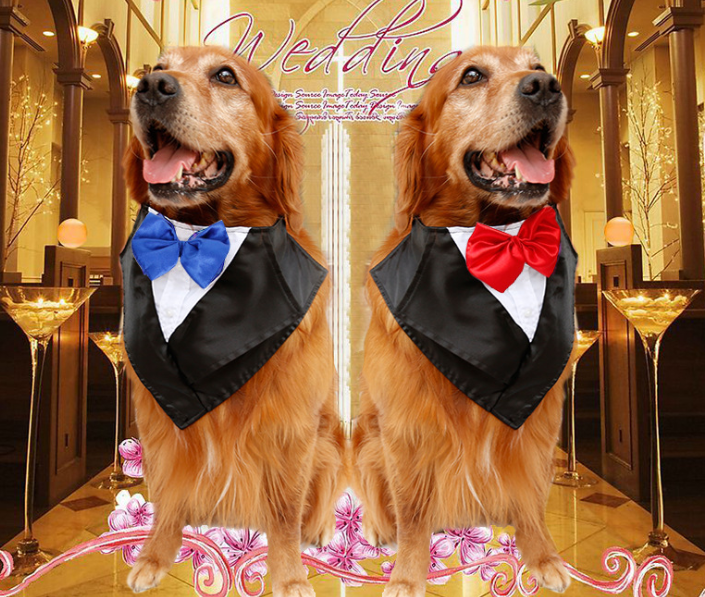 Wedding Tuxedo Triangle Scarf for Large Dogs