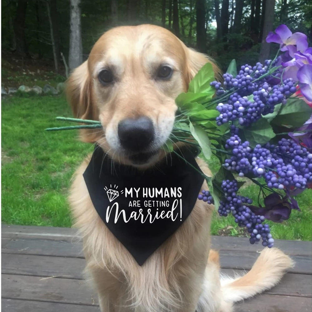 Wedding Bandana for Dogs, 12 Styles