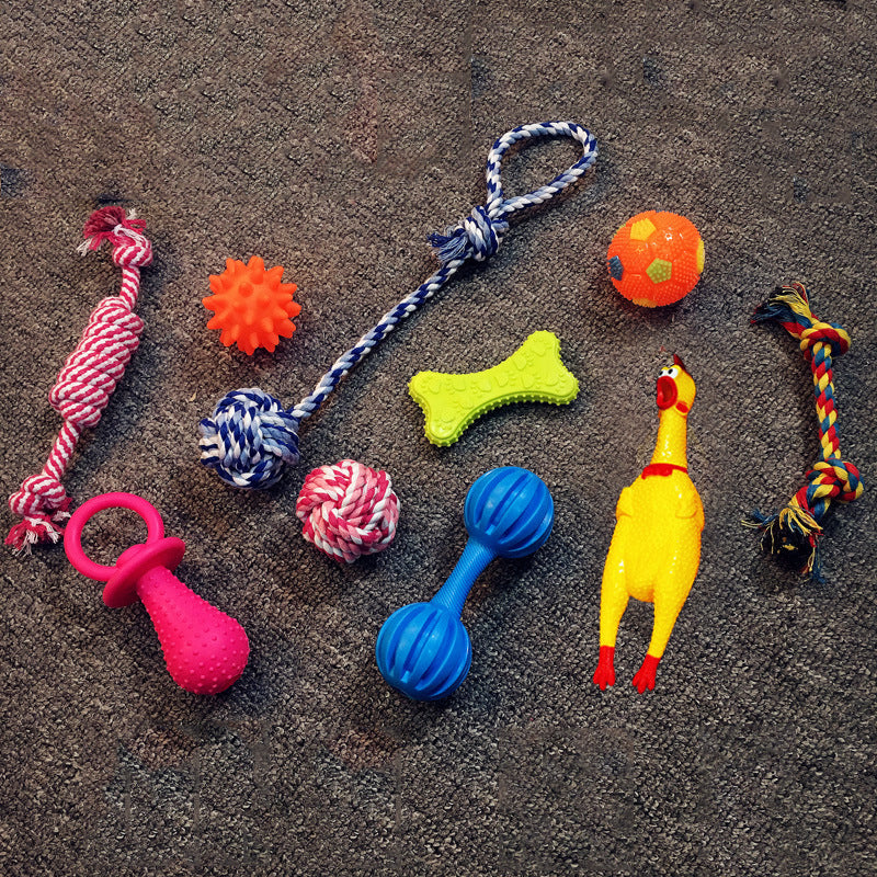 Squeaky Plush Dog Toy Set - Set 3