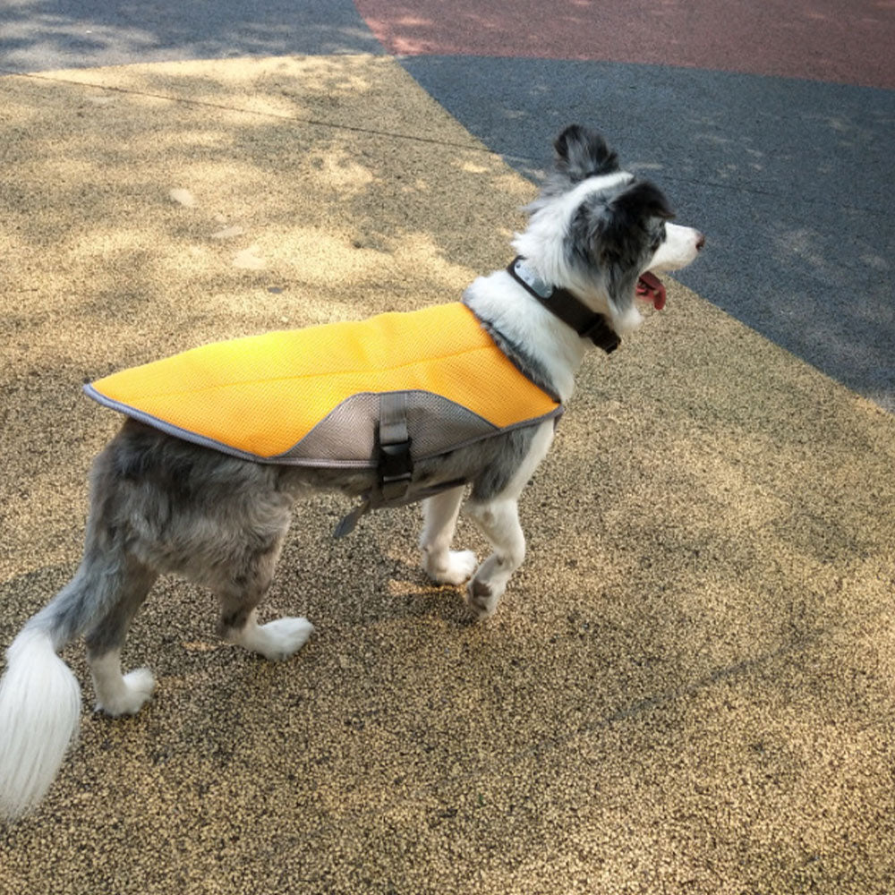 Lightweight Cooling Vest for Dogs