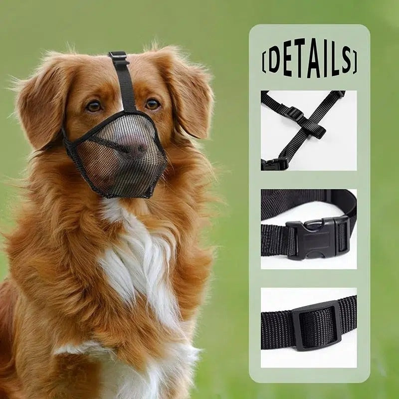 Breathable Mesh Dog Muzzle in Black and Green
