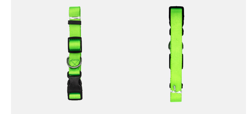 Adjustable Nylon Dog Collar in 9 Colours