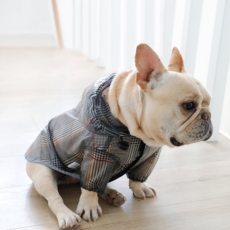 Dog Plaid Raincoat in Gray