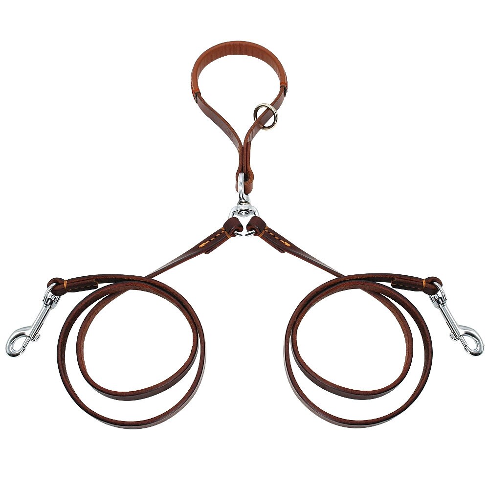 2-Way Dog Leash for Training and Walking