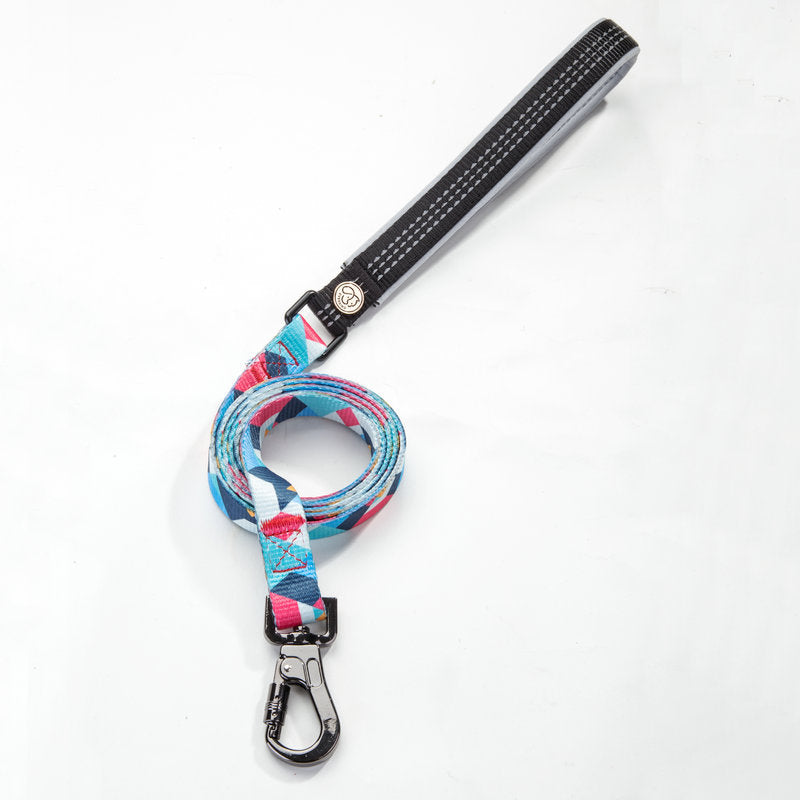 Dog Leash for All Sizes