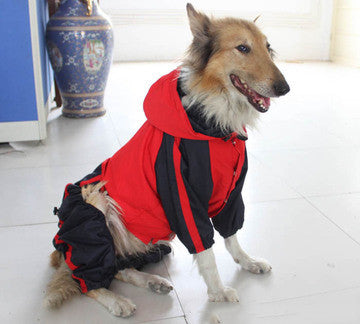 Dog Raincoat with Reflective Trim in Bright Colors