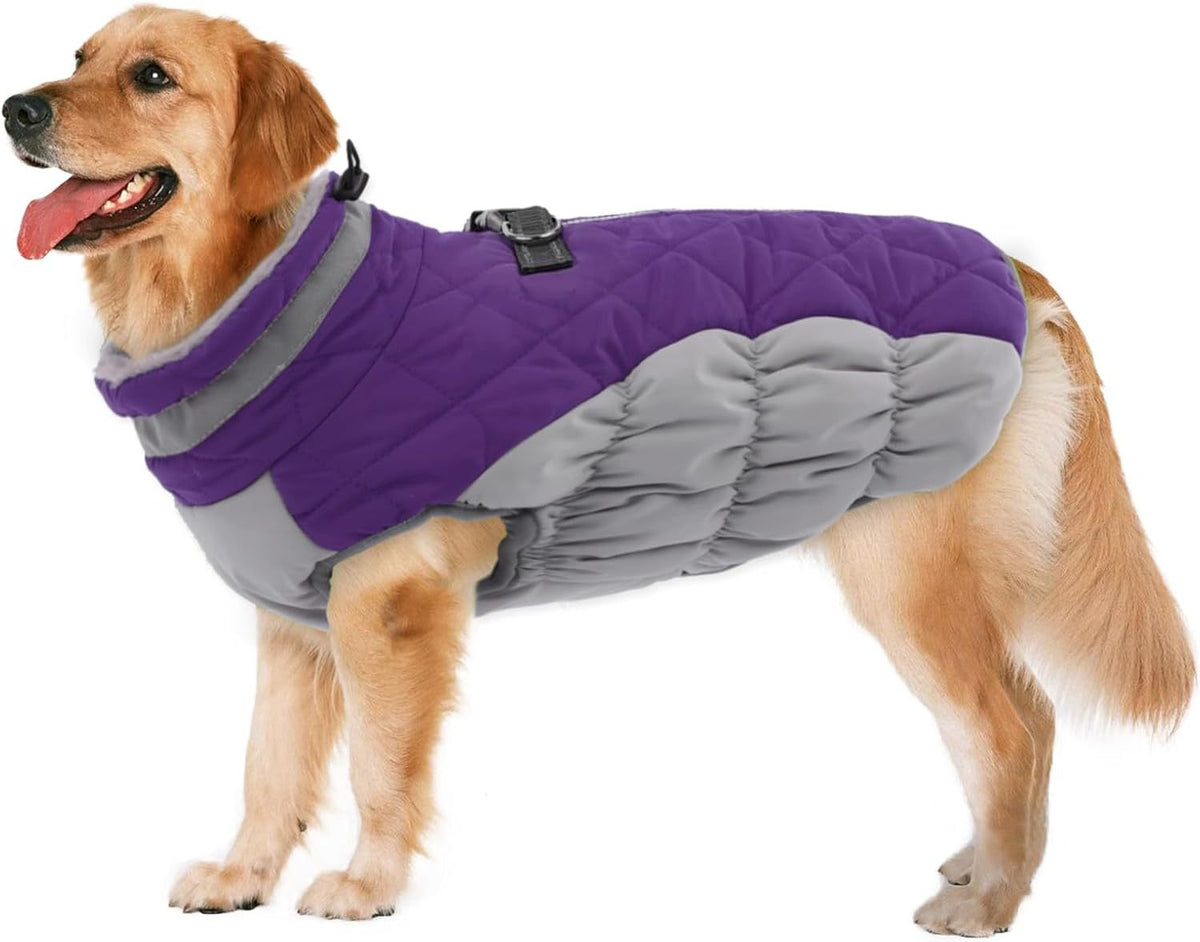 Windproof Padded Winter Dog Coat in 9 Colors