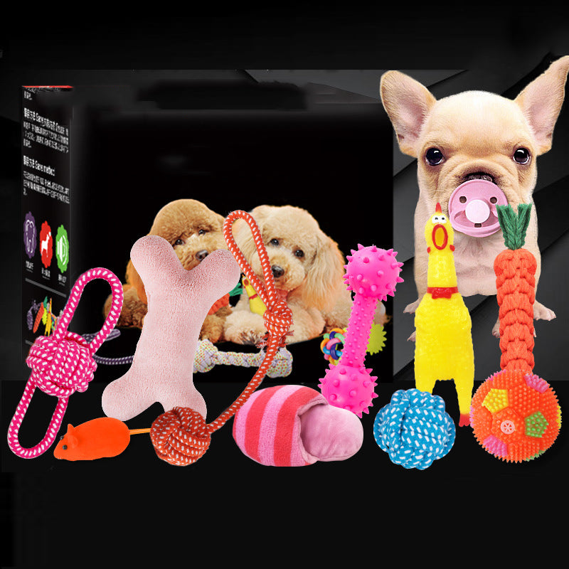 Squeaky Plush Dog Toy Set - Set 8