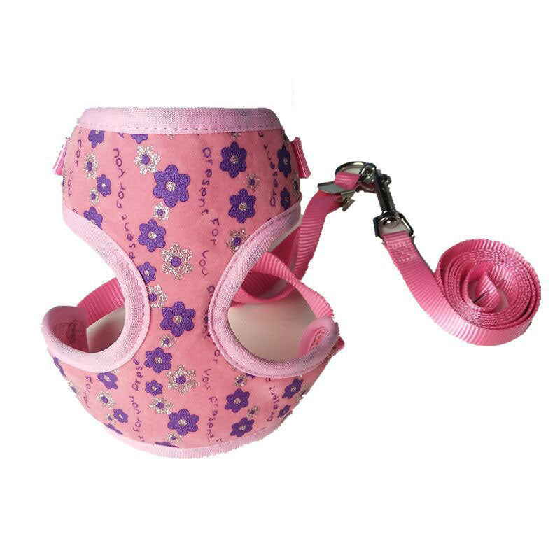 Small Dog Leash for Walking and Training