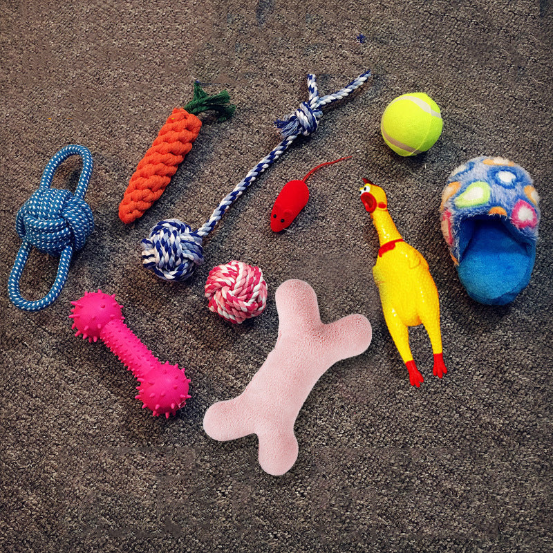 Squeaky Plush Dog Toy Set - Set 7