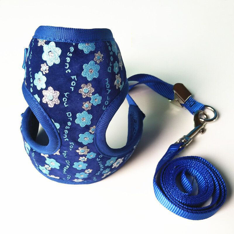 Small Dog Leash for Walking and Training