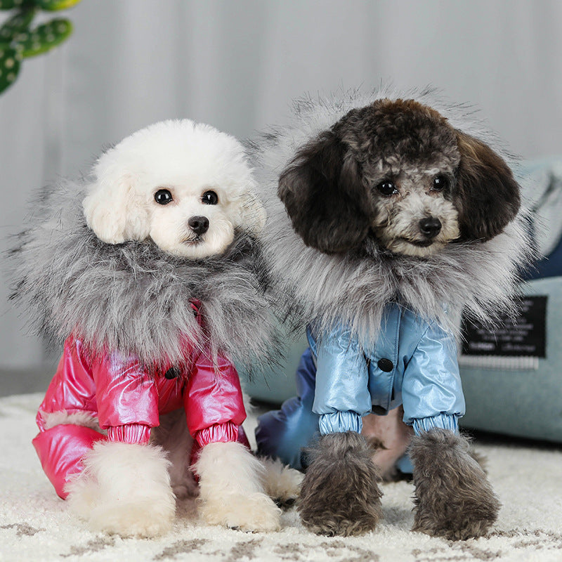 Winter Down Padded Coat for Dogs in Multiple Colors