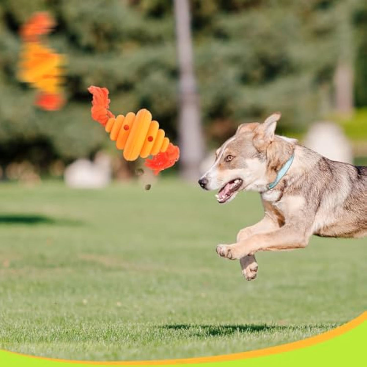 Rubber Chew Toy with Rope for Dogs in Yellow and Green
