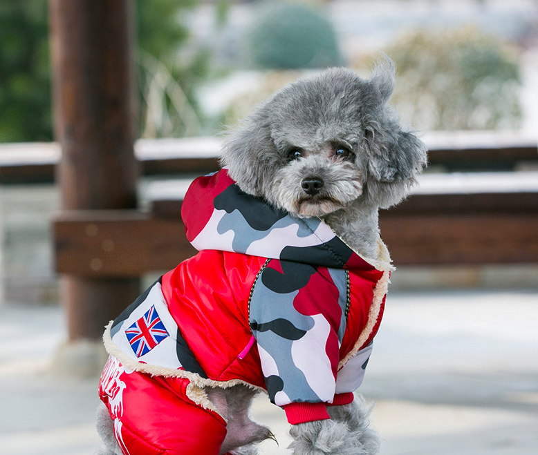 Warm Winter Dog Coat in Multiple Colors