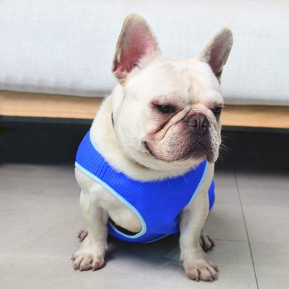 Cooling Vest for Dogs, Warm-Weather Wear