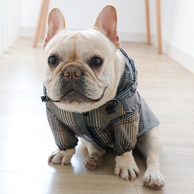 Dog Plaid Raincoat in Gray
