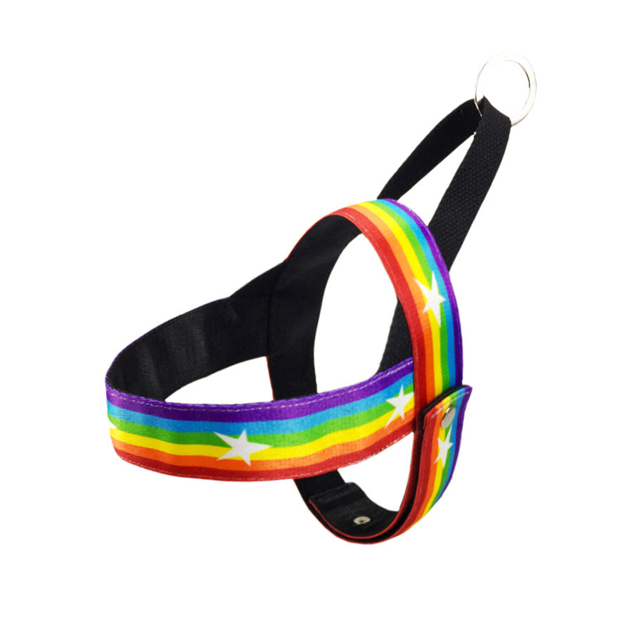 Rainbow Chain Dog Leash Set