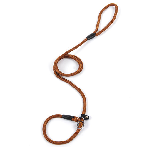 Dog Leash in Multiple Colors and Widths