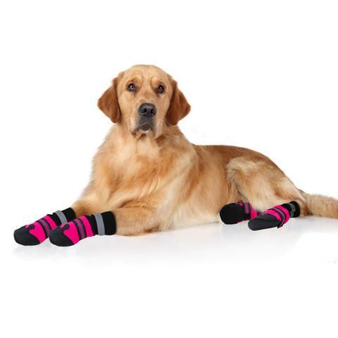 Waterproof Boots for Large and Medium Dogs in Rose Red and Blue