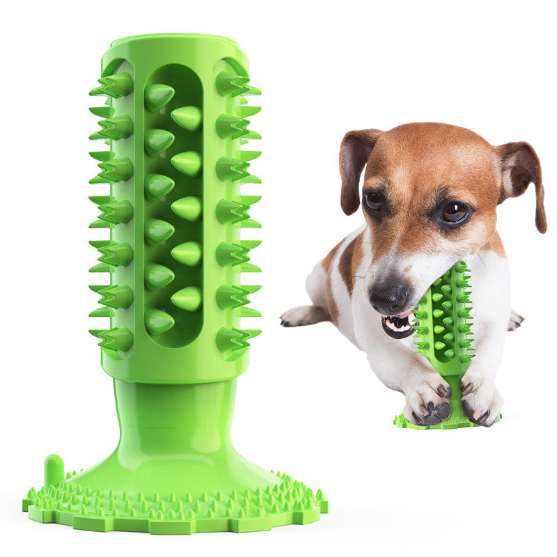 Toothbrush Stick for Dogs