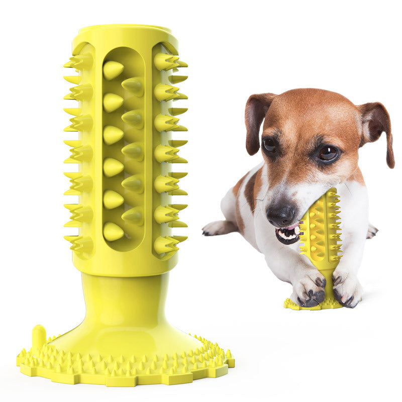 Toothbrush Stick for Dogs