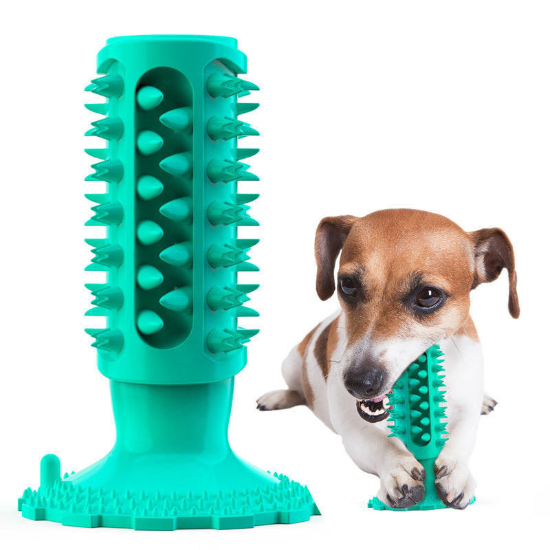 Toothbrush Stick for Dogs